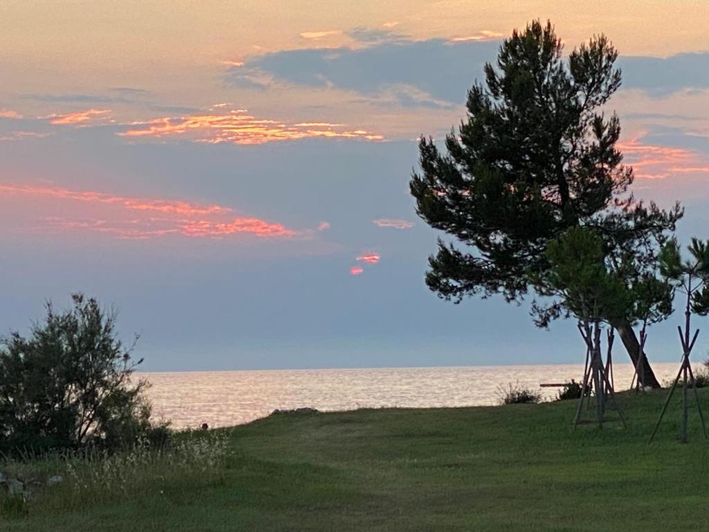 Appartement Beachfront Spina