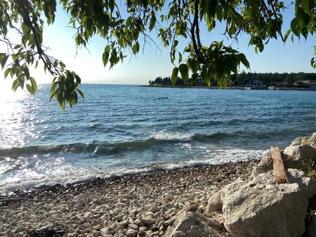 Apartment Beachfront Spina